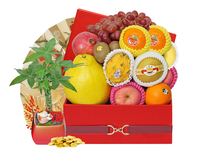 CNY Gift Hamper - Money Tree Brings Good Fortune Fruit Gift Hamper  FH257 - CH20110B9 Photo