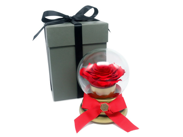 Preserved Forever Flower - 360 degree rotating rose music box - L45000092 Photo